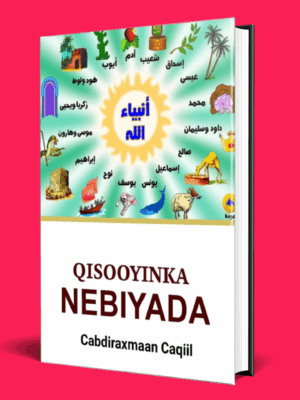 QISOOYINKA NABIYADA PDF