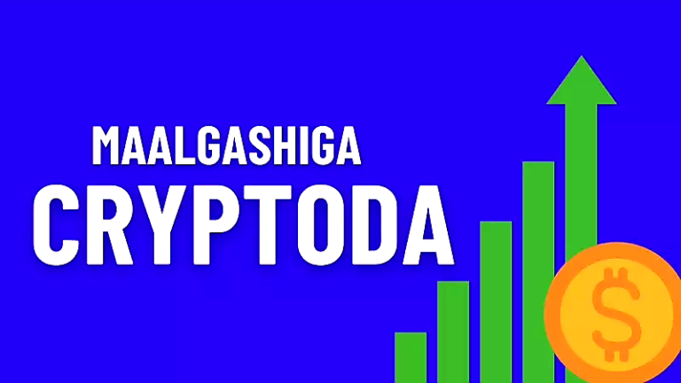 MAALGASHIGA CRYPTOCURRENCY ByBit 2023