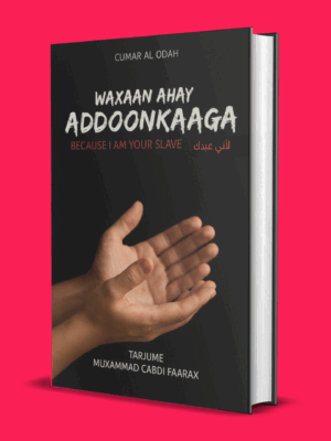WAXAAN AHAY ADOONKAAGA PDF