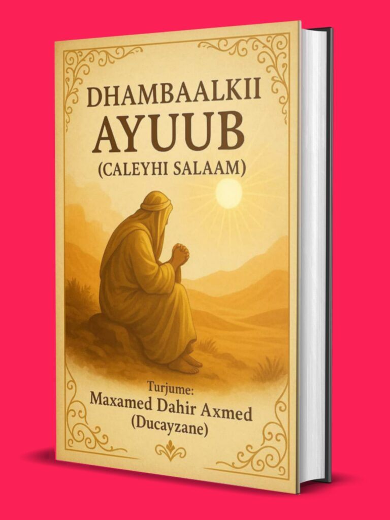 DHAMBAALKII AYUUB